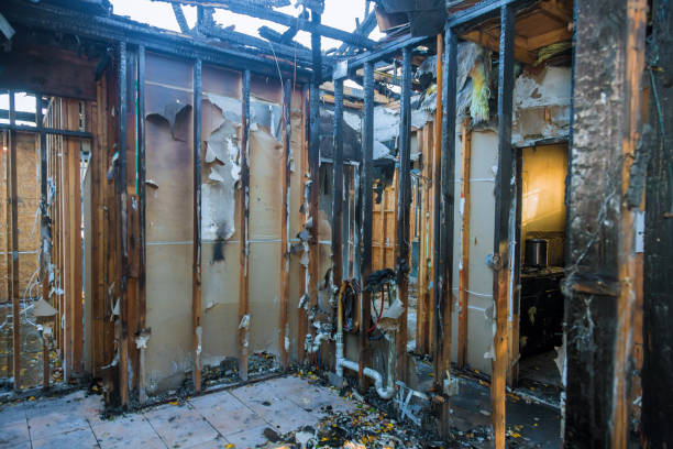 Professional Fire Damage Removal technician working in Johnson City, TX